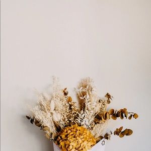 Meet your Posher, Phoenix